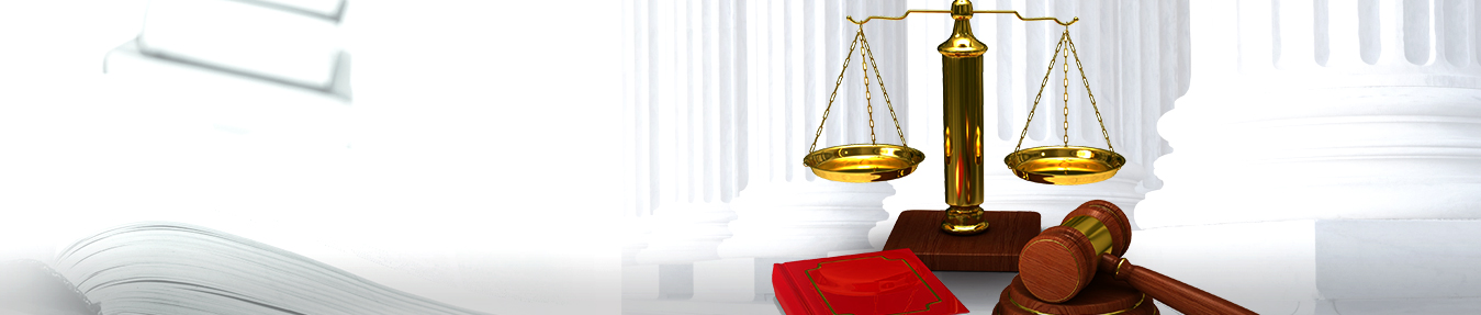 Litigation services